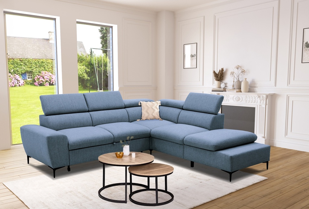 DARIO ANGLE CV/REV COFFRE - OCEAN 74 / NE VW259 x D245 X H79/97E OCEAN ...